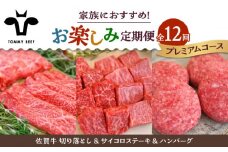【牧場直送】【12回定期便】佐賀牛 家族向け お楽しみ 定期便【佐賀セントラル牧場】佐賀県産 牛肉 お肉 肉 切り落とし ステーキ ハンバーグ 九州 佐賀県 白石町 [IAH220]