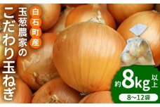 【先行予約】小分けがうれしい！玉葱農家のこだわり 玉ねぎ 約8kg以上（8～12袋）【玉葱農家 陣内ちひろ】玉葱 たまねぎ タマネギ 小分け 袋入り 九州 佐賀県 白石町 [IAO020]