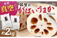 【お手軽調理！】白石町産 水煮れんこん 計2kg（真空パック）【有限会社白石開発】 /蓮根 レンコン 佐賀県産 白石町産 野菜 根菜 小分け 真空 保存 [IBN007]