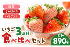 【先行予約】いちご 3品種 食べ比べセット【岸川農園】 九州 佐賀県 白石町 [IAP029]