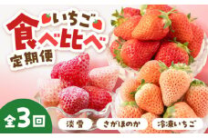 【先行予約】【全3回】赤白 いちご 食べ比べ 定期便【岸川農園】 九州 佐賀県 白石町 [IAP030]