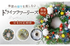 【先行予約/数量限定】【季節の彩りを楽しむ】ドライフラワー リース【4回定期便】【yumikofactory】 [IBY010]