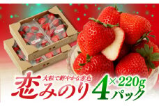 【先行予約】いちごに想いをのせて「恋みのり」220g×4パック / イチゴ 佐賀県産いちご 苺 フルーツ 【鐘ヶ江農園】 [IBH010]