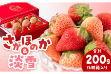 【先行予約】【農家直送】淡雪＆さがほのか 赤白いちごセット計200g（化粧箱入り） 【岸川農園】 九州 佐賀県 白石町 [IAP031]