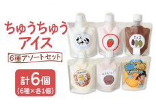 【小さいお子様にもおすすめ！】ちゅうちゅうアイス（チューブ入り）6種アソート セット【佐賀西部コロニー白石作業所】 [ICL008]