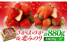 【先行予約】食べ比べ！恋みのり＆さがほのか 計880g（各種220g×2パック）詰め合わせ セット【鐘ヶ江善広】 [IBH011]