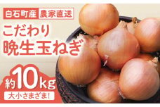 【農家直送！】こだわり 晩生 玉ねぎ 約10kg【一ノ瀬農園】たまねぎ 玉ネギ 玉葱 タマネギ [IBQ009]