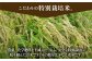 令和6年産 さがびよりを1年分お届け！