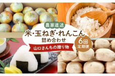【令和8年6月以降発送】【6回定期便】 農家直送！ 特産物 詰合せ ～山口さんちの贈り物～【y'scompany】佐賀県産玉葱 米 れんこん 人気 高評価 九州 佐賀県 白石町 [IAS018]