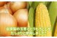 自家製野菜をたっぷりと使ったおかずセット！