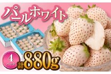 【先行予約】【産地直送】希少 白いちご「パールホワイト」220g×4パック [IZZ020]