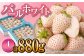 希少な白いちご、さっぱりとした甘い味わい！