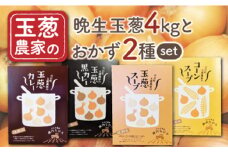 【先行予約】【農家直送！】晩生玉葱4kg と 選べるおかず2種 Bセット【玉葱農家 陣内ちひろ】 九州 佐賀県 白石町 [IAO025]