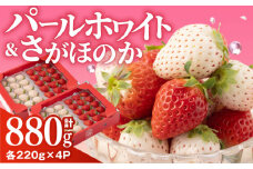 【先行予約】いちご食べ比べ！『さがほのか』と『パールホワイト』220g×各2パック 計4パック【ハヤシダファーム】 いちご イチゴ 白イチゴ 希少いちご 佐賀 九州 佐賀県 白石町 [IAQ017]