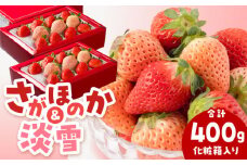 【先行予約】淡雪＆さがほのか 赤白 いちごセット200g × 2パック 合計400g（化粧箱入り） 【岸川農園】 九州 佐賀県 白石町 [IAP032]