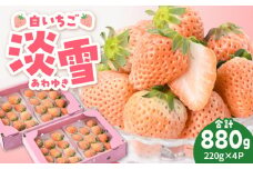 【先行予約】ほんのりピンク 希少 白いちご「淡雪」220g×4パック【岸川農園】 九州 佐賀県 白石町 [IAP033]