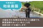 収穫から24時間以内に出荷！新鮮なれんこんをお届けします！
