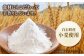 白石土産の新定番！地元で愛された濃厚チーズケーキ