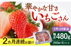 【先行予約】【2回定期便】いちごさん 240g×2パック 2月・3月配送【StrawberryFarm-K】 [IBJ008]