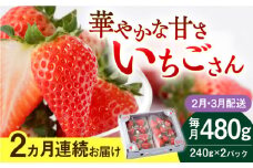 【先行予約】【2回定期便】いちごさん 240g×2パック 2月・3月配送【StrawberryFarm-K】 [IBJ008]