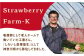 華やかでやさしい甘さの「いちごさん」を2月3月にお届け！