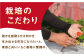 華やかでやさしい甘さの「いちごさん」を2月3月にお届け！