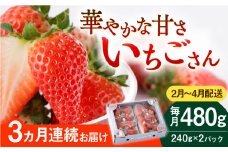 【先行予約】【3回定期便】いちごさん 240g×2パック [2・3・4月配送]【StrawberryFarm-K】 [IBJ009]
