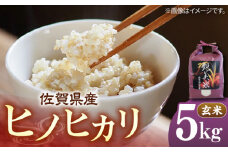 佐賀県産 ヒノヒカリ 5kg（玄米）【株式会社IMKCorporation】 [IBX018]