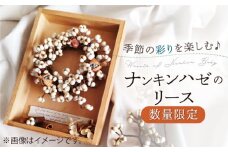 【数量限定】【ナチュラルな癒し】ナンキンハゼのリース【yumikofactory】 [IBY011]