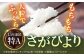 自慢のお米を生産者から直接お届け！