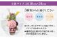 お花屋さんがつくった「カラーサンドデザイン」