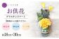 お花屋さんがつくった「カラーサンドデザイン」