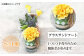 お花屋さんがつくった「カラーサンドデザイン」