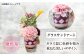 お花屋さんがつくった「カラーサンドデザイン」