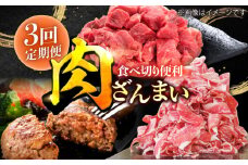 【3回定期便】肉ざんまい定期便 一人暮らし 少量 /黒毛和牛 牛肉 バラエティー 定期　【川﨑畜産】佐賀県産牛 ハンバーグ 切り落し九州 佐賀県 白石町 [IAX047]