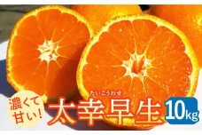 【先行予約】【数量限定！】さっぱりとした甘さの こだわりみかん 太幸早生（たいこうわせ） 約10kg【ひがじま農園】 ミカン 蜜柑 ブランド 佐賀県 白石町産 [ICW006]