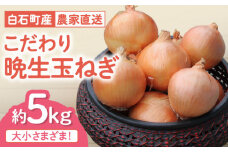 【農家直送！】こだわり 晩生 玉ねぎ 約5kg【一ノ瀬農園】玉葱 たまねぎ タマネギ 玉ネギ [IBQ010]