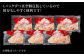 むね肉ともも肉のありたどり食べ比べ大容量セット！