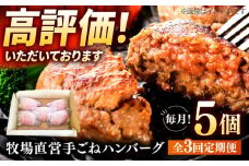 【3回定期便】牧場直営店の手作りハンバーグ（140g×5個）【川﨑畜産】佐賀県産 ハンバーグ 牛肉 冷凍 はんばーぐ 牛肉 お惣菜 おかず 和牛 国産 ハンバーグ 九州 佐賀県 白石町 [IAX057]