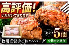 【6回定期便】牧場直営店の手作りハンバーグ（140g×5個）【川﨑畜産】佐賀県産 ハンバーグ 牛肉 冷凍 はんばーぐ 牛肉 お惣菜 おかず 和牛 国産 ハンバーグ 九州 佐賀県 白石町 [IAX058]