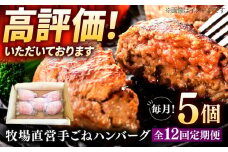 【12回定期便】牧場直営店の手作りハンバーグ（140g×5個）【川崎畜産】佐賀県産 ハンバーグ 牛肉 冷凍 はんばーぐ 牛肉 お惣菜 おかず 和牛 国産 ハンバーグ 九州 佐賀県 白石町 [IAX059]
