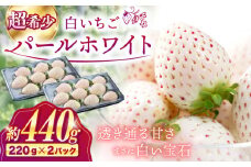【4月発送】【佐賀県産いちご】パールホワイト 約220g×2パック【株式会社IMKCorporation】 [IBX023-5]