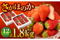 白石産いちご さがほのか 約150g×12パック（計1800g以上）【道の駅しろいしカンパニー】 [IAA038]