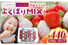 【4月発送】【佐賀県産いちご】パールホワイト＆いちごさんMIX 約220g×2パック【株式会社IMKCorporation】 [IBX024-5]