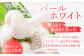 まるで宝石のような赤いちごと白いちごを贅沢にMIX