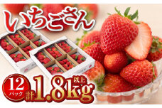 【産地直送】白石産いちご「いちごさん」 約150g×12パック（計1800g以上）【道の駅しろいしカンパニー】 [IAA039]