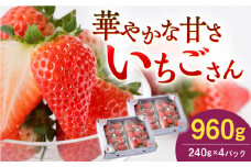 いちごさん 240g×4パック【StrawberryFarm-K】 [IBJ011]