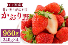 上品な香りの「かおり野」240g×4パック【StrawberryFarm-K】 [IBJ012]