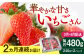 華やかでやさしい甘さの「いちごさん」を3月4月にお届け！