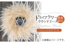 【数量限定】【ナチュラルな癒し】パンパスグラスのリース【yumikofactory】 [IBY013]